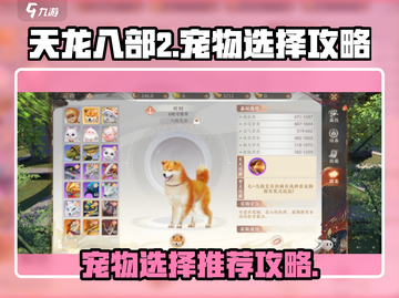 天龙八部2手游宠物选择🔥最强攻略来了！截图1