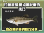 钓鱼星球🔥斑点黑鲈垂钓技巧大公开！🎣