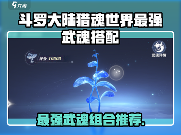 斗罗大陆猎魂世界最强武魂搭配🔥截图1