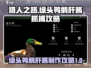 猎人之路🔥绿头鸭鹅肝酱获取秘籍🎉