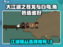 🔥大江湖之苍龙与白鸟：必选随从推荐👇