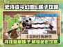 史诗战斗幻想5🔥梯子位置与终极攻略来啦！
