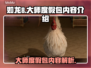 如龙8大师度假包💥内容全揭秘！🔥