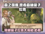 森之国度📖贤者森林罐子位置大揭秘🔥