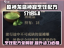 原神：龙息神寂烹饪配方大曝光！🔥