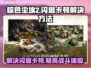 棕色尘埃2闪退卡顿？❌教你一招轻松解决！💥