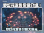 梦灯花发售价格曝光！💰游戏党必看🔥
