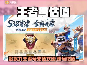 💎王者贵族9充值攻略&账号估值平台大公开！截图1