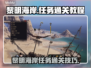 王权与自由🔥黎明海岸任务通关攻略📍