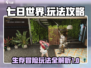 七日世界🔥超全玩法攻略，新手必看！🎮