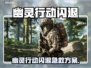 🎮幽灵行动断点闪退？一招解决！