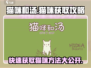 猫咪和汤🔥猫咪获取全攻略，轻松得猫💡