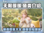 无限暖暖游戏玩家必看🐟隐藏鱼类大揭秘！