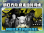 明日方舟终末地时间线大起底💥游戏党必看！🎮