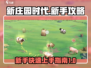 新庄园时代🔥新手必看！快速上手秘籍🎉