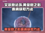 艾尔登法环😎：黄金树之影露滴获取秘籍✨