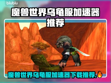 🔥魔兽世界乌龟服加速器推荐！🚀截图1