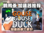 鹅鸭杀🎉加速器推荐｜玩鹅鸭杀必看！