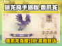 🔥《驯龙高手旅程》雷爪龙强度分析来啦！还不快看？