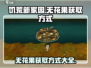饥荒新家园🔥无花果位置大揭秘！💎