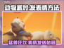 动物派对游戏🔥发表情方法大公开🎉
