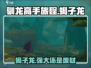 驯龙高手旅程🔥蝎子龙超详细介绍来啦！