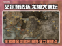 艾尔登法环🔥龙飨大祭坛隐藏秘密全揭秘！