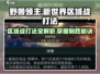 野兽领主新世界🔥区域战打法详解⚡