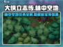 大侠立志传🔥林中空地任务攻略全解析！💡