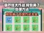 葫芦娃大作战🔥背包满了超烦？1秒解决方法来了！