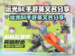 远光84手游英文名大曝光💥，玩家必看！