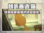 《倾听画语》猫的位置在这里！✨快来看看猫咪🐱