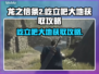 龙之信条2🔥屹立吧大地获取攻略💎