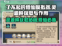 了不起的修仙模拟器🔥灵源种获取方法大公开！