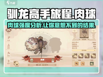 🔥驯龙高手旅程：肉球强度分析💡带你制霸天空！截图1