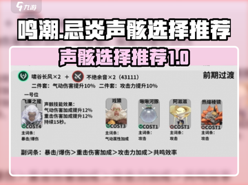 鸣潮🔥忌炎声骸终极选择攻略来了！截图1