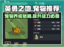 《英勇之地》🔥必刷宠物推荐！新手必看💥