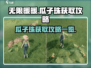 无限暖暖🔥瓜子珠获取秘籍💎轻松搞定！