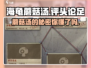 海龟蘑菇汤评头论足🔥通关秘籍大公开！🎮