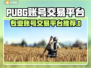  PUBG账号交易TOP平台大揭秘💥游戏代练必看🔥