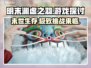 明末渊虚之羽🔥端游+3A加持，你敢信？🎮