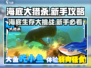 海底大猎杀🔥新手必看，轻松上手制霸海洋！