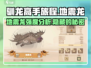 🚨驯龙高手旅程：地震龙强度逆天🔥快来看看怎么养！🐉