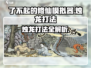 了不起的修仙模拟器🔥烛龙打法攻略全流程分享！