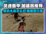 灵魂面甲延迟高💥加速器推荐🎮