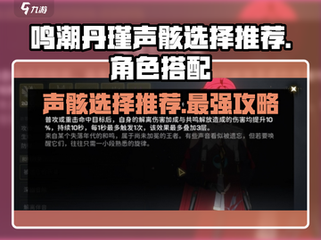 鸣潮🔥丹瑾声骸选谁？这篇攻略告诉你！截图1