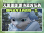 无限暖暖🔥唱诗蓝龙任务全流程解析🎮