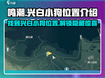 鸣潮🔥兴白小狗位置大曝光！快来看看👀截图1