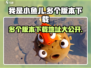 我是小鱼儿🔥多版本下载地址大公开！🎉