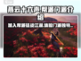 燕云十六声🔥帮派门派全解析，不来错过亿点点！